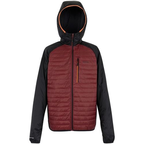 Rowak men's Jacket in - Regatta - Modalova