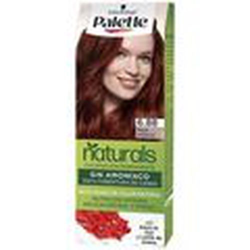 Coloración Natural Tinte 6.88-rojo Intenso para mujer - Palette - Modalova