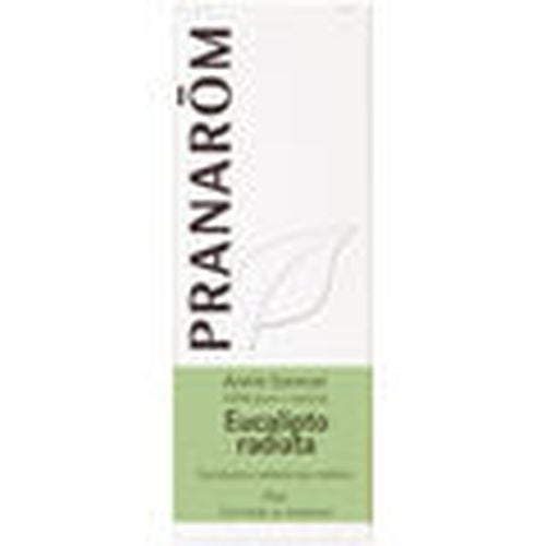 Velas, aromas Aceite Esencial eucalipto Radiata para - Pranarôm - Modalova