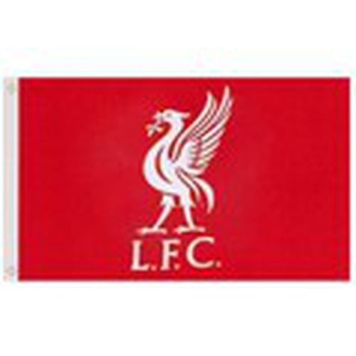 Complemento deporte Core para hombre - Liverpool Fc - Modalova