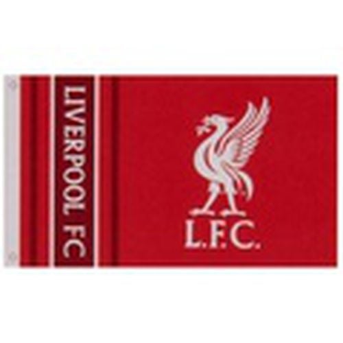 Complemento deporte SG20005 para mujer - Liverpool Fc - Modalova