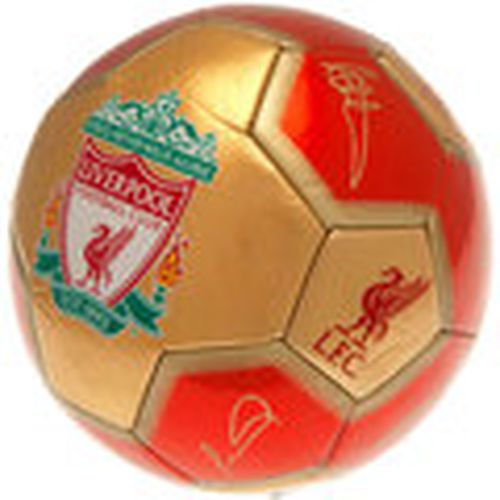 Complemento deporte YNWA para hombre - Liverpool Fc - Modalova