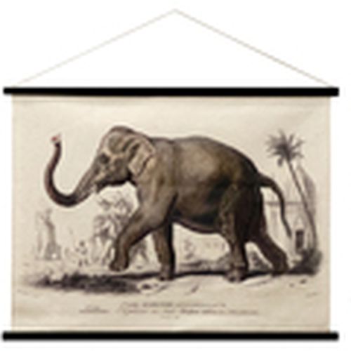 Cuadros, pinturas Lienzo Enrollable Elefante para - Signes Grimalt - Modalova