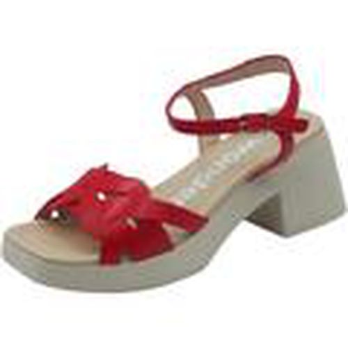 Sandalias D-1011 Catalina Iseo para mujer - Wonders - Modalova