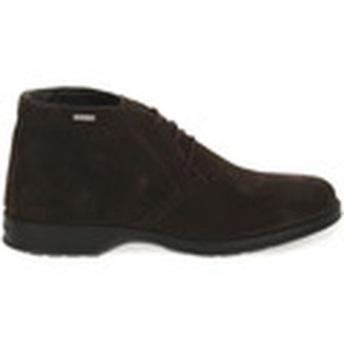 Botas TRAIL CAFFE GTX para hombre - IgI&CO - Modalova