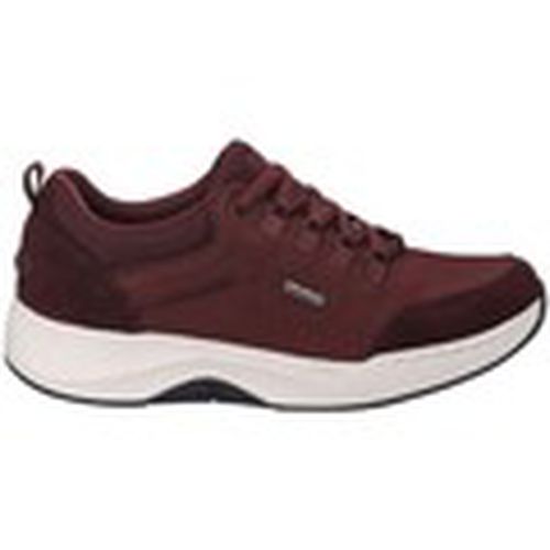 Zapatos Mujer BLUCHER IMPERMEBLE ELI-50 NUBUCK BURDEOS para mujer - Josef Seibel - Modalova