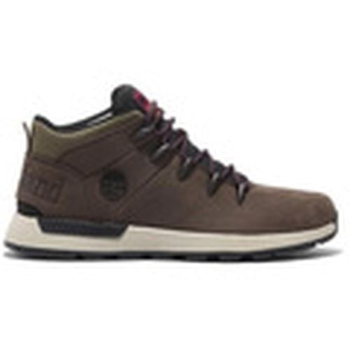 Zapatillas altas - para hombre - Timberland - Modalova