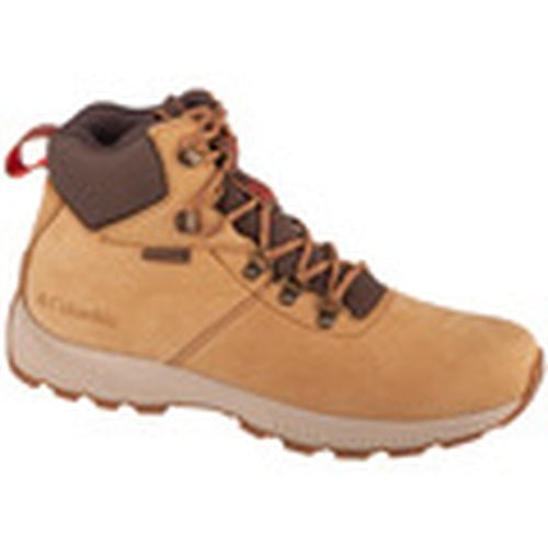 Zapatillas de senderismo Landroamer Explorer WP NB para hombre - Columbia - Modalova