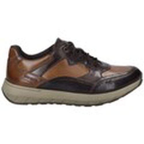 Zapatos Hombre BLUCHER CAMERON-08 PIEL MARRON para hombre - Josef Seibel - Modalova