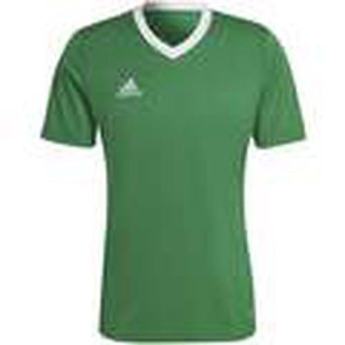 Tops y Camisetas Camiseta Ent22 Jsy Teagrn/W para hombre - adidas - Modalova