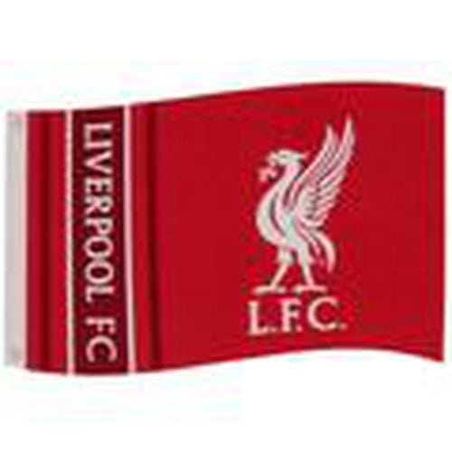 Complemento deporte TA4606 para mujer - Liverpool Fc - Modalova