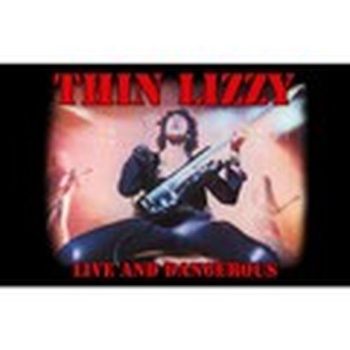 Afiches, posters RO5054 para - Thin Lizzy - Modalova
