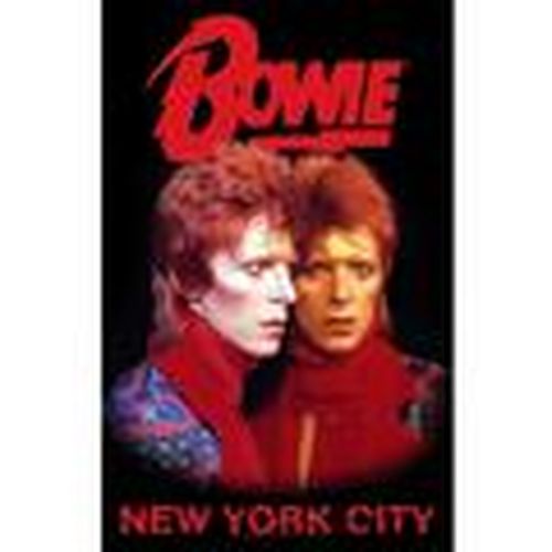 Afiches, posters RO9096 para - David Bowie - Modalova