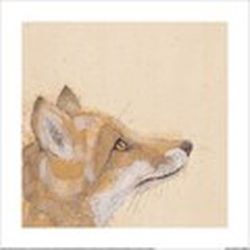 Afiches, posters 40 cm x 40 cm PM12050 para - Bev Davies - Modalova