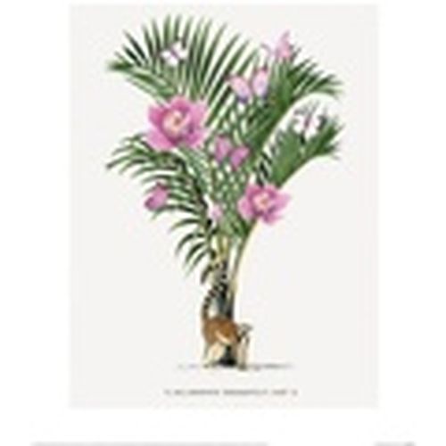 Afiches, posters 60 cm x 80 cm PM4604 para - Summer Thornton - Modalova