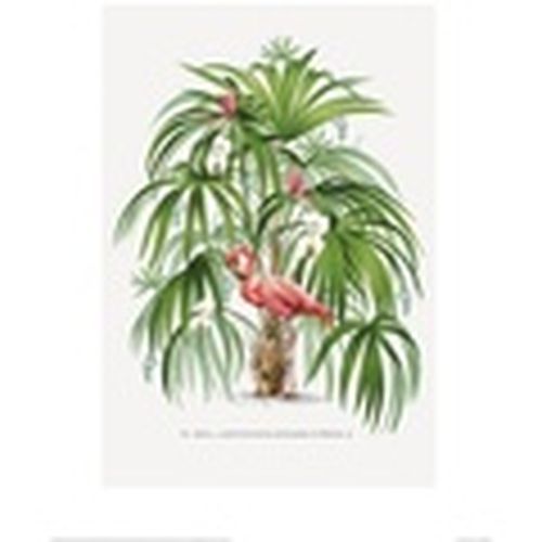 Afiches, posters 40 cm x 50 cm PM4617 para - Summer Thornton - Modalova