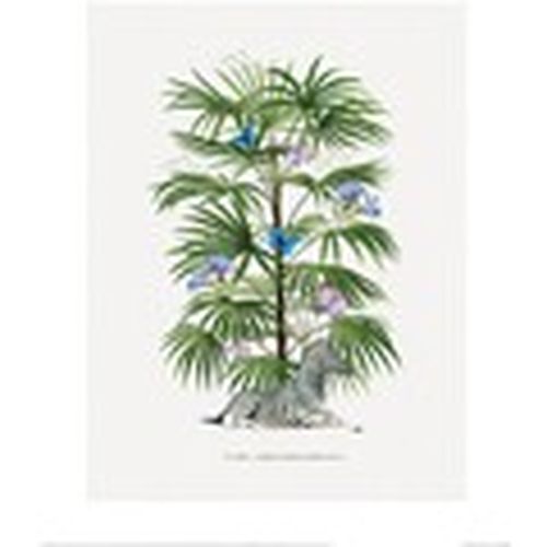 Afiches, posters 40 cm x 50 cm PM4794 para - Summer Thornton - Modalova