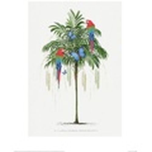 Afiches, posters 60 cm x 80 cm PM4623 para - Summer Thornton - Modalova