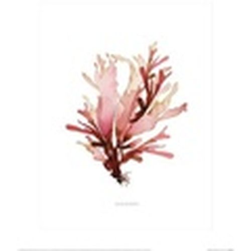 Afiches, posters 40 cm x 50 cm PM4626 para - Summer Thornton - Modalova
