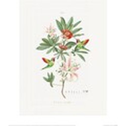Afiches, posters 40 cm x 50 cm PM4765 para - Summer Thornton - Modalova