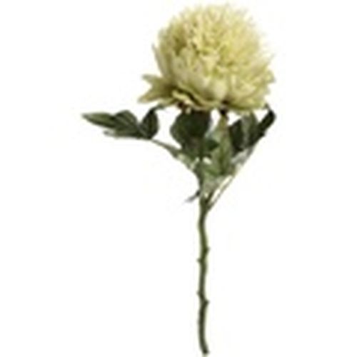 Plantas artificiales HI2870 para - Hill Interiors - Modalova