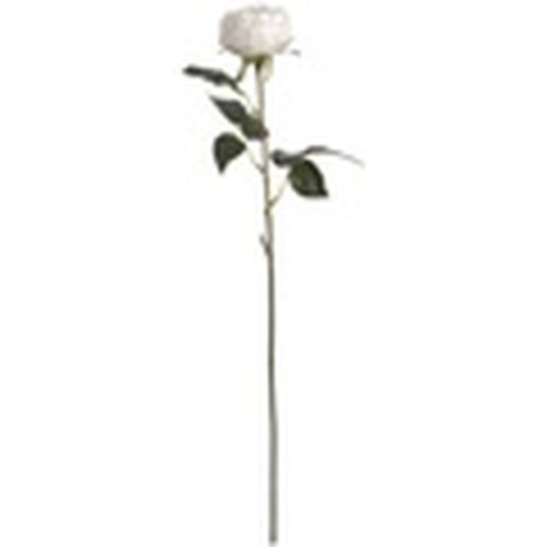 Plantas artificiales HI2874 para - Hill Interiors - Modalova