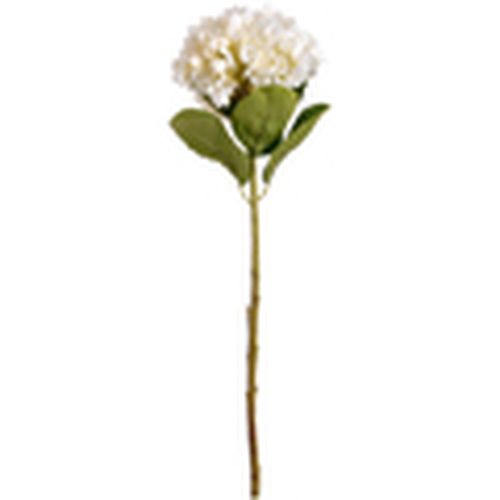 Plantas artificiales HI2909 para - Hill Interiors - Modalova