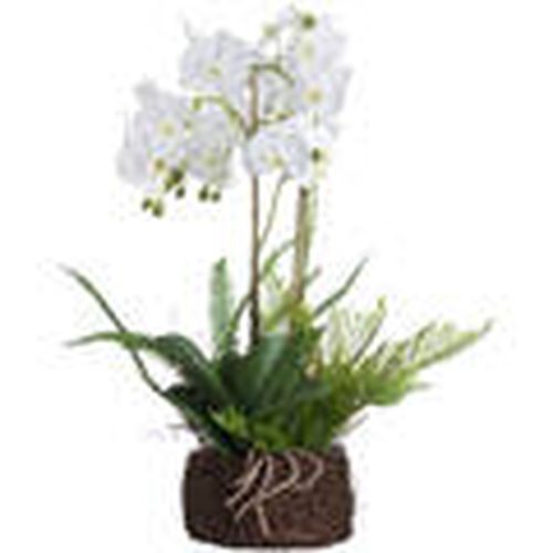 Plantas artificiales HI3354 para - Hill Interiors - Modalova