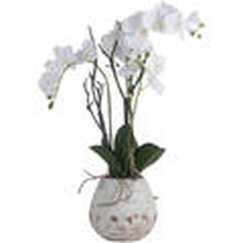 Plantas artificiales HI3455 para - Hill Interiors - Modalova