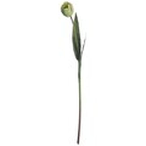 Plantas artificiales HI3667 para - Hill Interiors - Modalova
