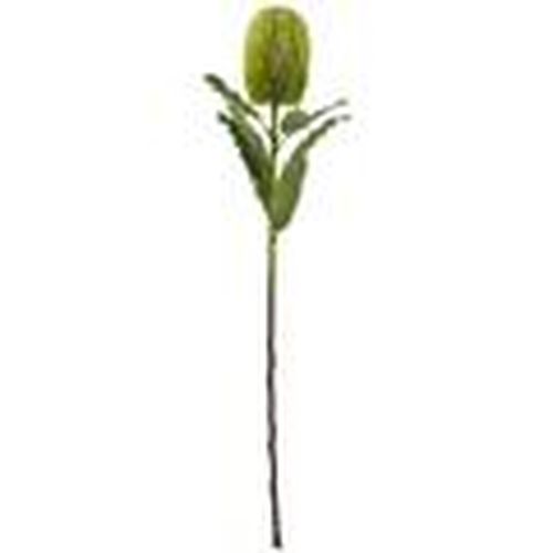 Plantas artificiales HI4804 para - Hill Interiors - Modalova