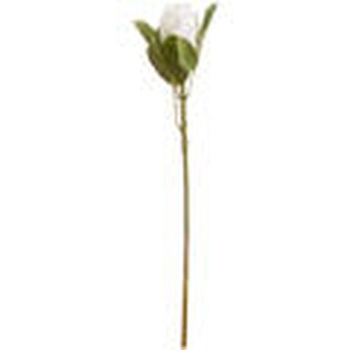 Plantas artificiales HI3758 para - Hill Interiors - Modalova