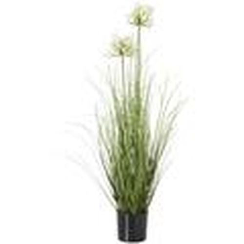 Plantas artificiales HI4924 para - Hill Interiors - Modalova