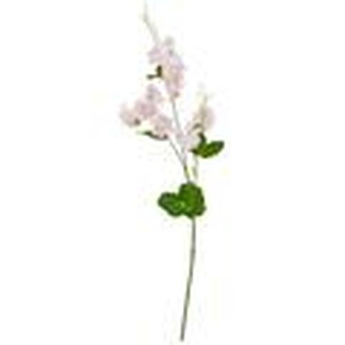 Plantas artificiales HI4982 para - Hill Interiors - Modalova