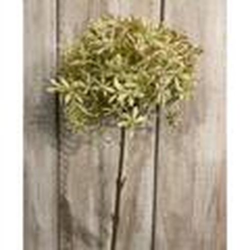 Plantas artificiales HI4992 para - Hill Interiors - Modalova