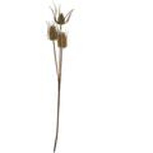 Plantas artificiales HI4996 para - Hill Interiors - Modalova