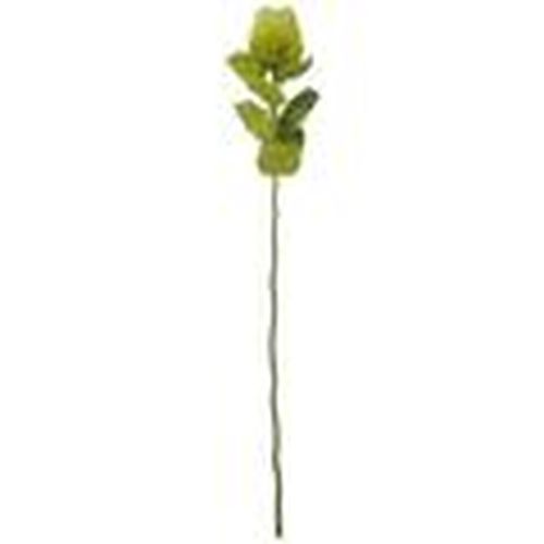 Plantas artificiales HI4856 para - Hill Interiors - Modalova