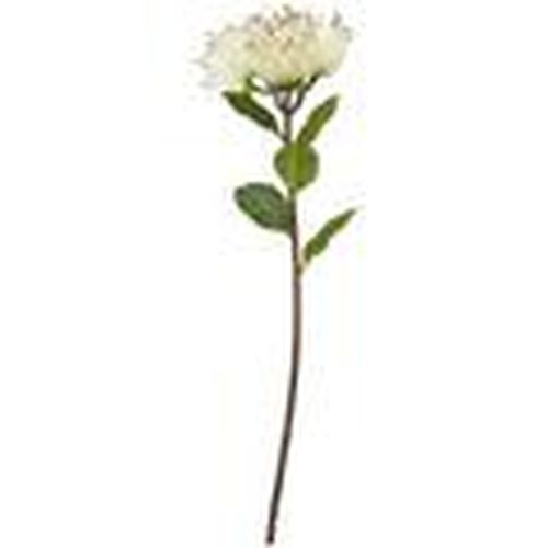 Plantas artificiales HI4870 para - Hill Interiors - Modalova