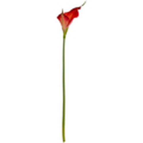 Plantas artificiales - HI5244 para - Hill Interiors - Modalova