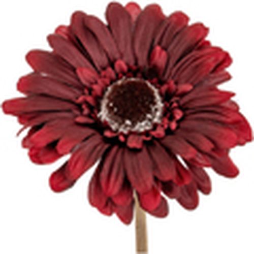 Plantas artificiales HI5433 para - Hill Interiors - Modalova