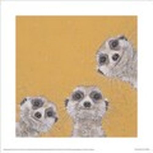 Afiches, posters 40 cm x 40 cm PM13243 para - Bev Davies - Modalova