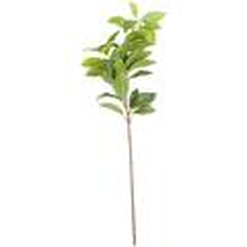 Plantas artificiales HI4757 para - Hill Interiors - Modalova