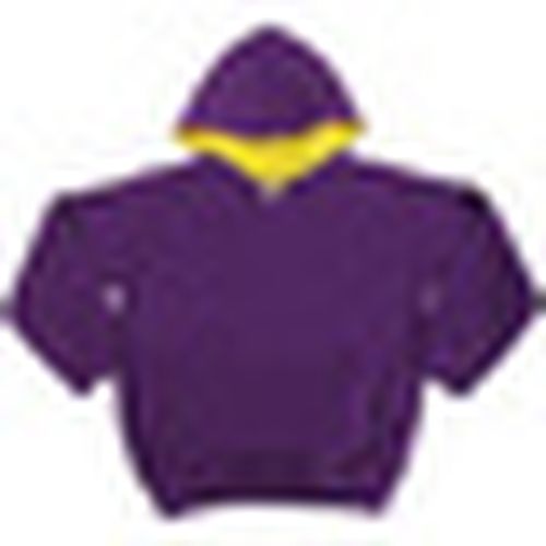Felpe con cappuccio Awdis JH03J - Awdis - Modalova