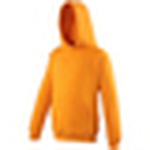 Felpe con cappuccio Awdis JH01J - Awdis - Modalova