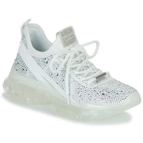 Sneakers basse MAXIMA-R - Steve Madden - Modalova