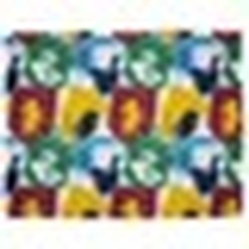 Plaid, coperte Harry Potter AG508 - Harry Potter - Modalova