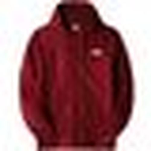 Felpe con cappuccio Open Gate - The North Face - Modalova