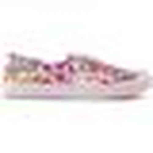 Sneakers basse Chow Chow Formatori - Rocket Dog - Modalova