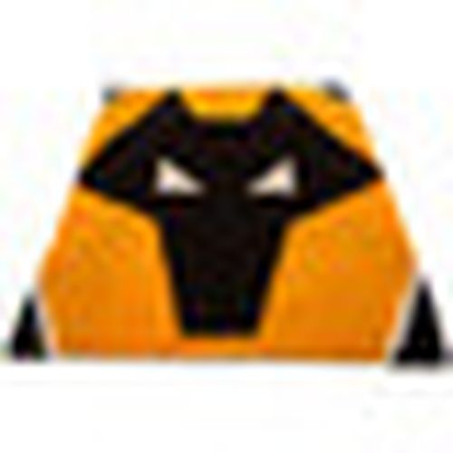 Plaid, coperte TA10625 - Wolverhampton Wanderers Fc - Modalova