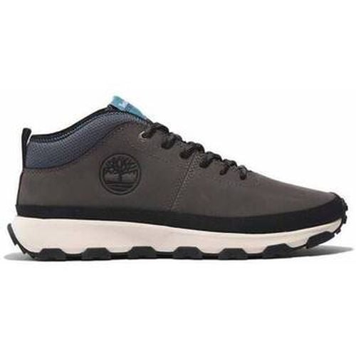 Sneakers WINSOR TRAIL UOMO A613G - Timberland - Modalova